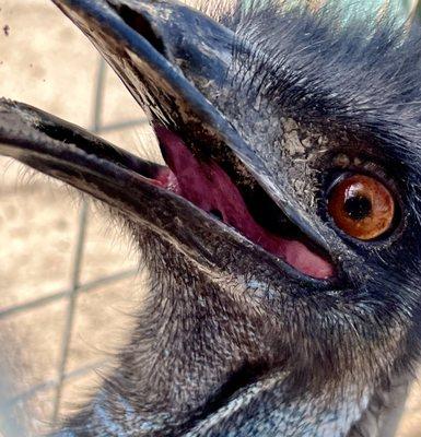 Photo of Lorretta M.