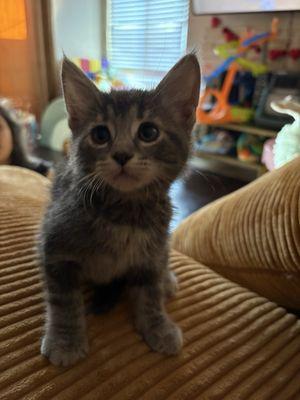 photo of Bittanny M.