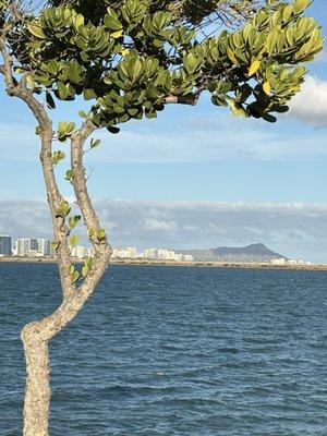 photo of Christian P.