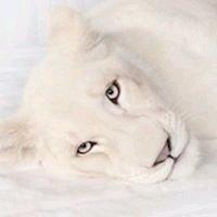 photo of Dreeka MsUnimpressed R.