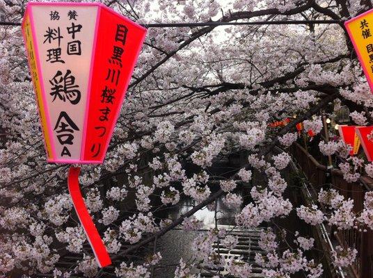 Photo of Nippon 近畿方言