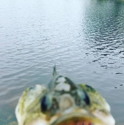 photo of Catherine M.