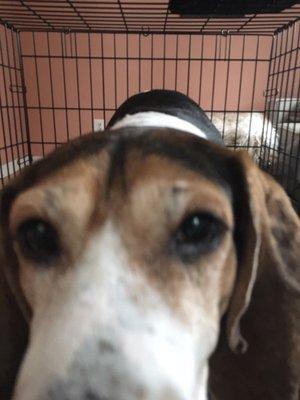 photo of Rosemary P.