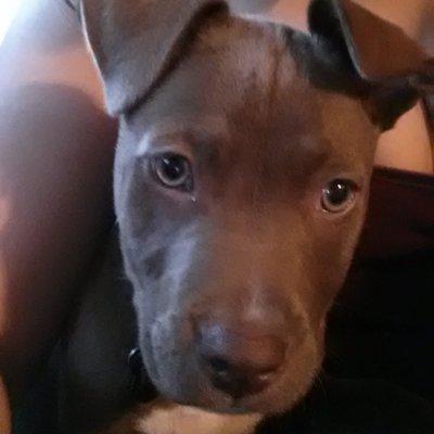 photo of Katarina Payton S.