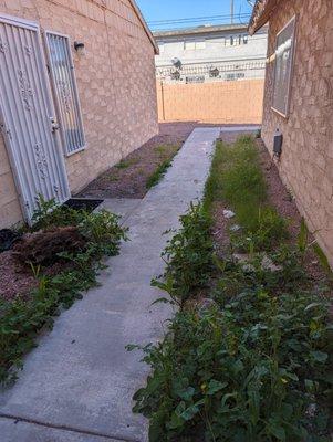 Photo of Layzette B.