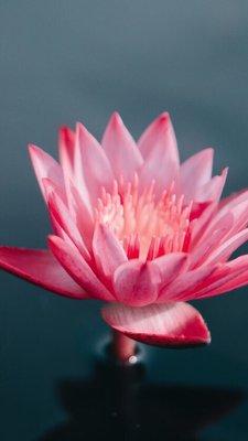 photo of Christie L.