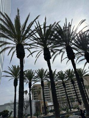 photo of Elizabeth G.