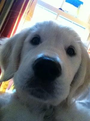 photo of Cassandra Y.