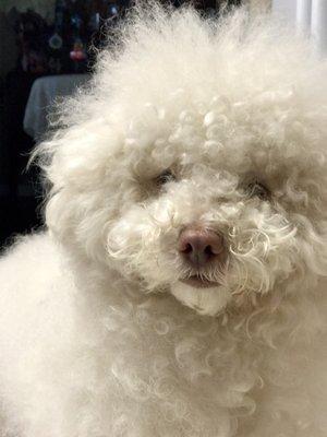 photo of Stephanie S.