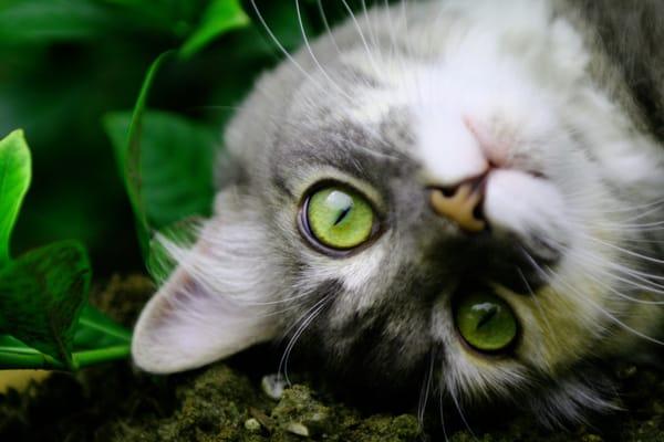 Photo of Petite M.