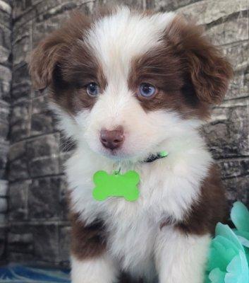 photo of Thachakorn T.