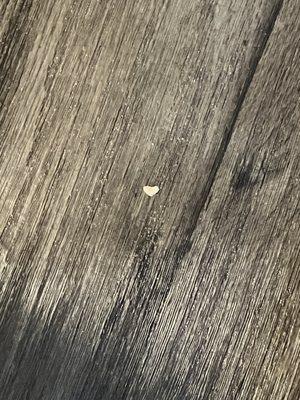 photo of Michelle M.