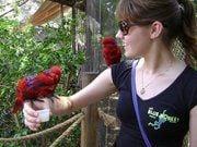 photo of Carlisle S.