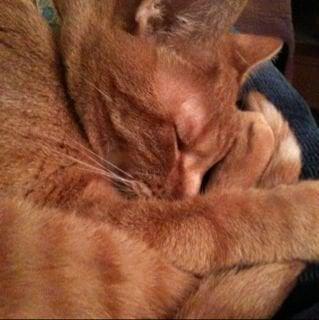 Photo of Mary Rose M.