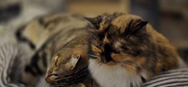 photo of Katherine R.