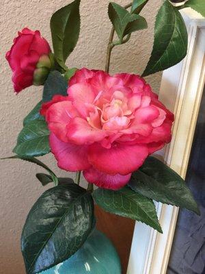 photo of Richardson L.