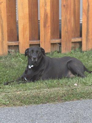 photo of Christine N.