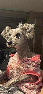 photo of Patricia R.