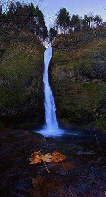 photo of Berenice M.