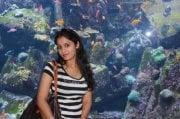 Photo of Shweta K.