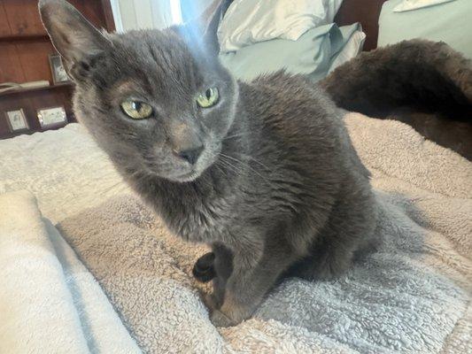 photo of John Zitzelberger