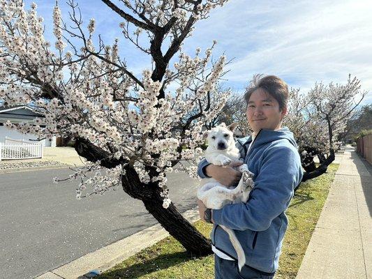 Photo of Kenji Y.