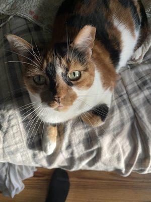 photo of Supremacy 1.