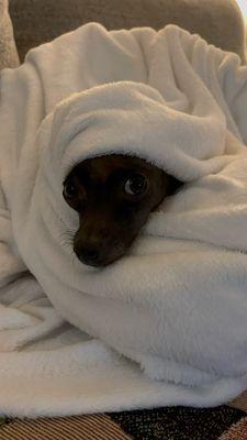 photo of Michelle L.