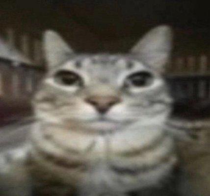 photo of Waffle28 ?.