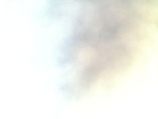 Photo of Sherie B.