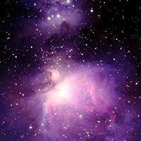 photo of Maranatha S.