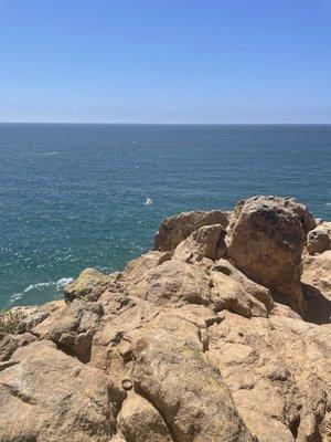 Photo of Danielle C.