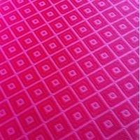 photo of Bernadette S.