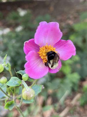 Photo of Catherine N.