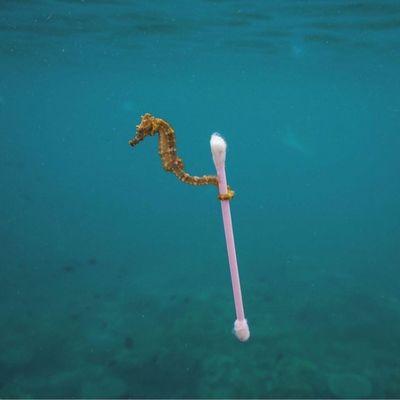 photo of Mercedes H.