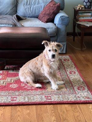 Photo of Gracie V.