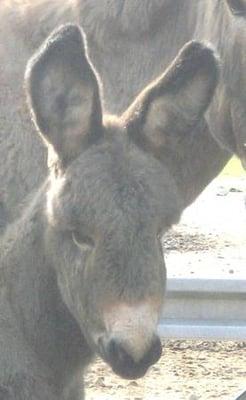 photo of Christine C.