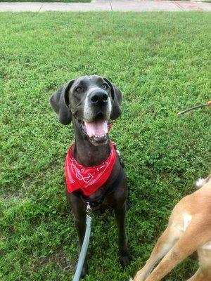 photo of Kristina C.