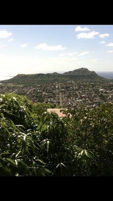 photo of Honolulu M.