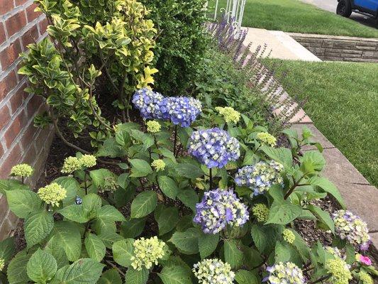 photo of Brittany B.