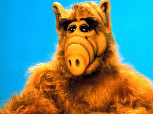 Photo of Tasheena G.