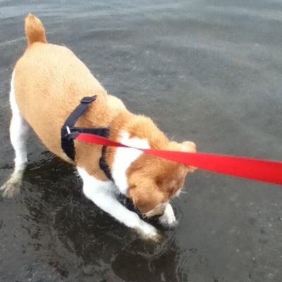 photo of Jennifer H.