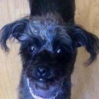 photo of Christine R.