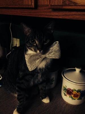 photo of Tori S.
