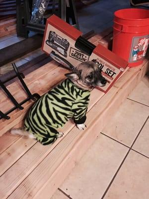 photo of Gretchen H.