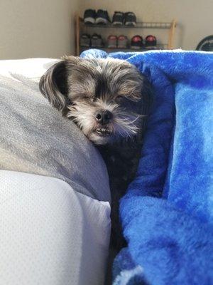 photo of Anthony Richard K.