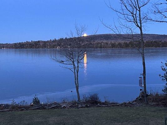 photo of City Girl Y.