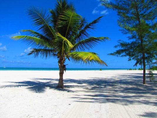 Photo of Galloway J.