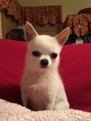 Photo of Angel C.
