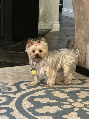 Photo of Rhobbie M.
